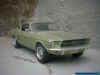67er_Must._1.jpg (57016 Byte)