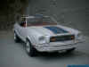 77er_Must_1.jpg (60492 Byte)