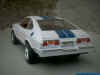 77er_Must_2.jpg (58890 Byte)