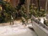 Pacific Assault 1 c _ Chuck.jpg (76615 Byte)