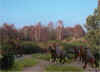 Stefan_48.jpg (49448 Byte)