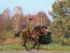 Stefan_49.jpg (54804 Byte)