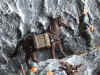 Stefan_72.jpg (76111 Byte)
