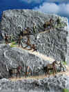 Stefan_74.jpg (115110 Byte)