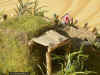 Jap_Bu_1-72_5h.JPG (192994 Byte)