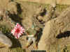 Jap_Bu_1-72_6d.JPG (199657 Byte)