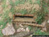 Jap_Bu_1-72_7e.JPG (78677 Byte)