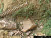 Jap_Bu_1-72_7f.JPG (90833 Byte)