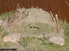 Japanese jungle observation bunker 1-72 (4).JPG (117112 Byte)