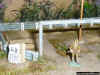 Japanese military cemetery in the jungle 1-72 (11).JPG (132146 Byte)