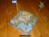 Jungle MG-Position WW2 -Wooden Bunker- 1-72 (1).JPG (113347 Byte)