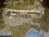 Jungle MG-Position WW2 -Wooden Bunker- 1-72 (17).JPG (138065 Byte)