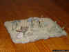 japanese grenade launcher position 1-72 (2).JPG (110864 Byte)