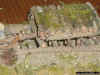 japanese observation bunker _ defence position 1-72 (7).JPG (148942 Byte)