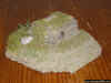japanese palm trunk MG bunker 127 _ 1-72 (3).JPG (115359 Byte)