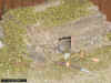 japanese palm trunk MG bunker 127 _ 1-72 (4).JPG (137115 Byte)