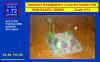 Bunker Koehler_Works 1-72_234.JPG (58200 Byte)
