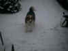 Balou_15.jpg (712896 Byte)