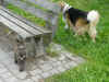Balou_7.JPG (165105 Byte)