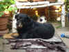 Jamie_1.JPG (153599 Byte)