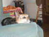 Lilli_18.JPG (138755 Byte)