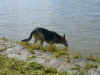 Lilli_3.JPG (156147 Byte)