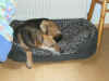 Lilli_7.JPG (138365 Byte)